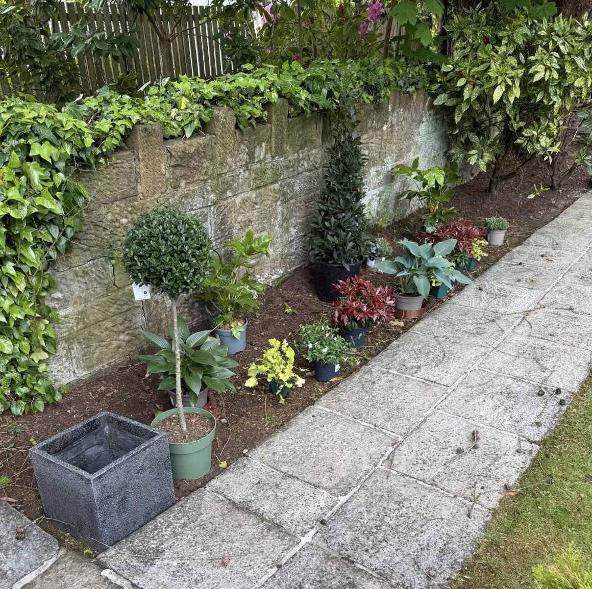 A patio-side border with topiary, potted plants and mixed planting along a stone wall
